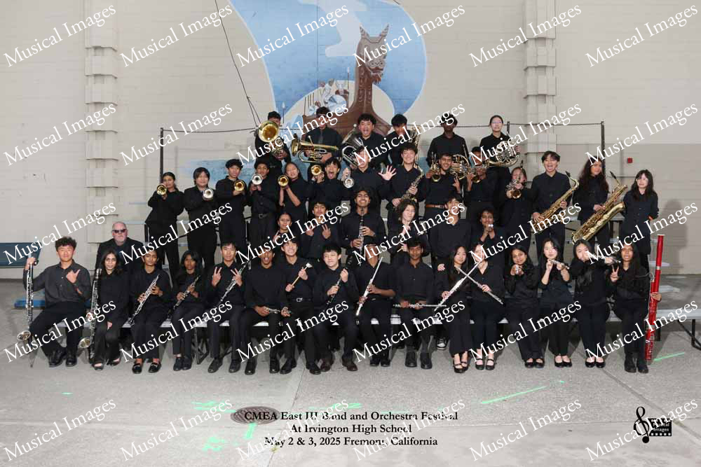 Musical Images